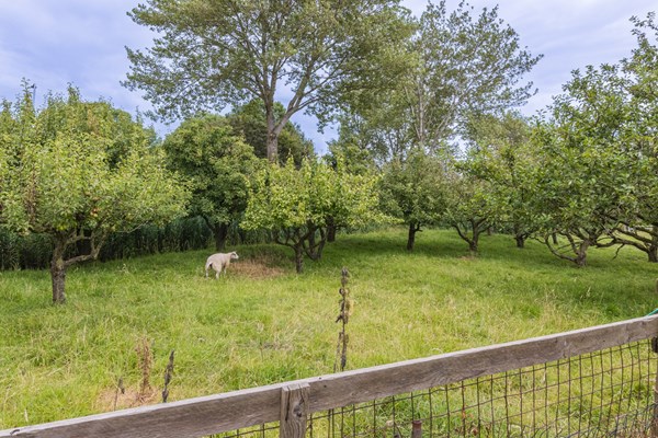 Medium property photo - Zouteveenseweg 4a, 2636 EH Schipluiden